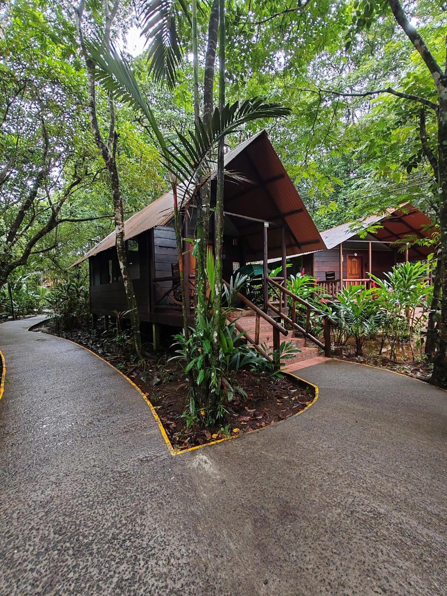 Evergreen Lodge Tortuguero Exterior foto